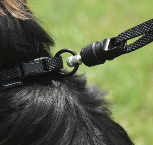 GoLeyGo Dog Leash and collar