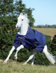 Bucas Therapy Turnout Rug 50g