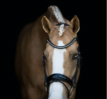 Load image into Gallery viewer, Lumiere Aurelie Rolled Leather Bridle Hanoverian
