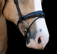 Load image into Gallery viewer, Lumiere Aurelie Rolled Leather Bridle Hanoverian
