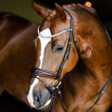 Load image into Gallery viewer, Lumiere Amie Rolled Leather Hanoverian Bridle
