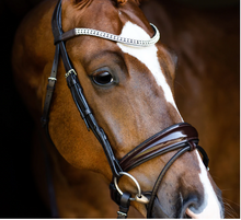 Load image into Gallery viewer, Lumiere Amie Rolled Leather Hanoverian Bridle
