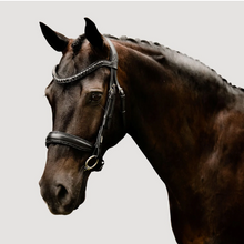 Load image into Gallery viewer, Lumiere Arcadia Luxury Leather Bridle (Cavesson)
