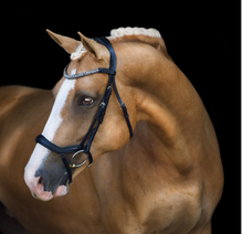 Load image into Gallery viewer, Lumiere Mila Anatomic Leather Bridle
